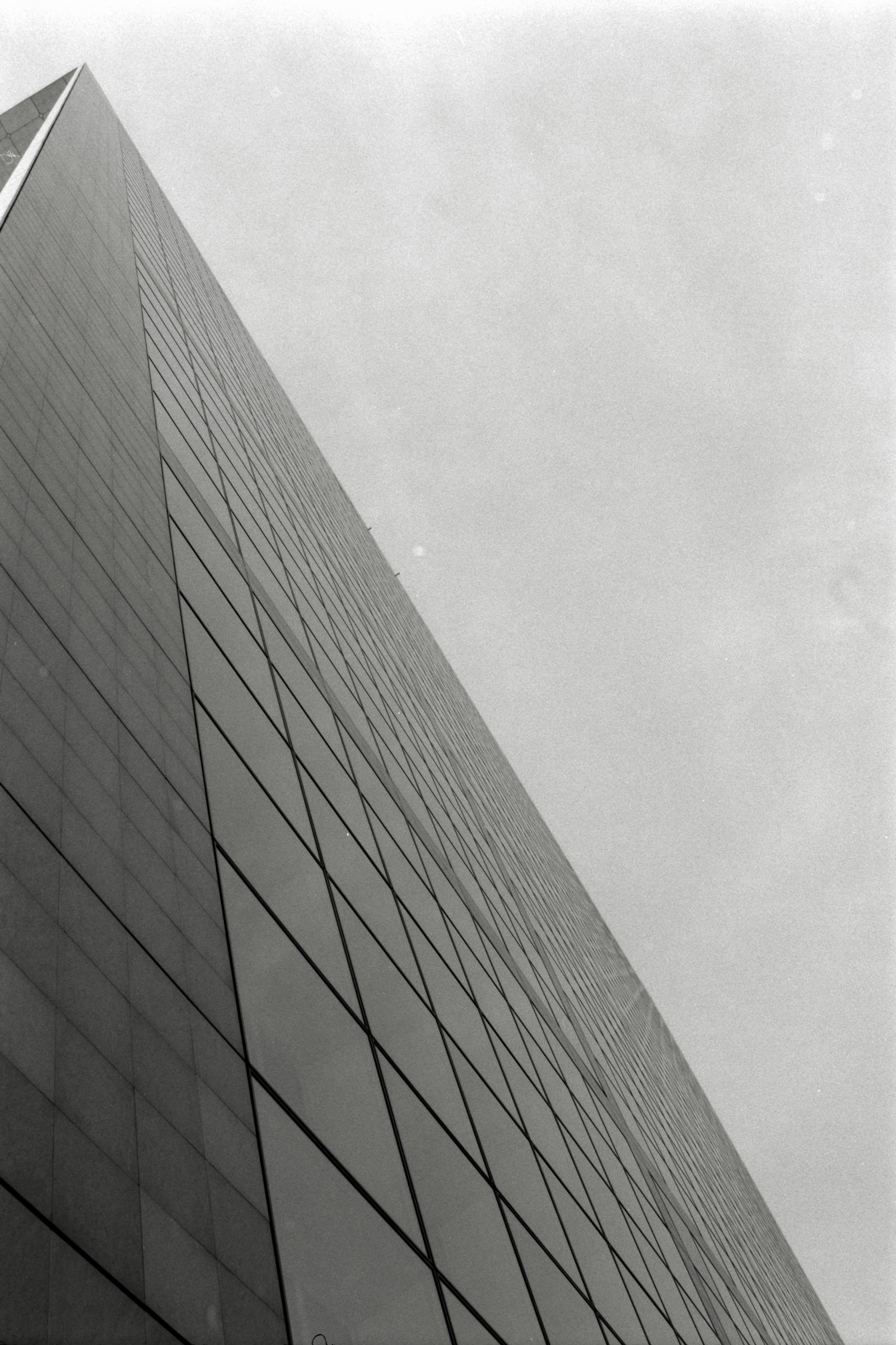 AHP F1990 09 002 sc250506 img16 NLP